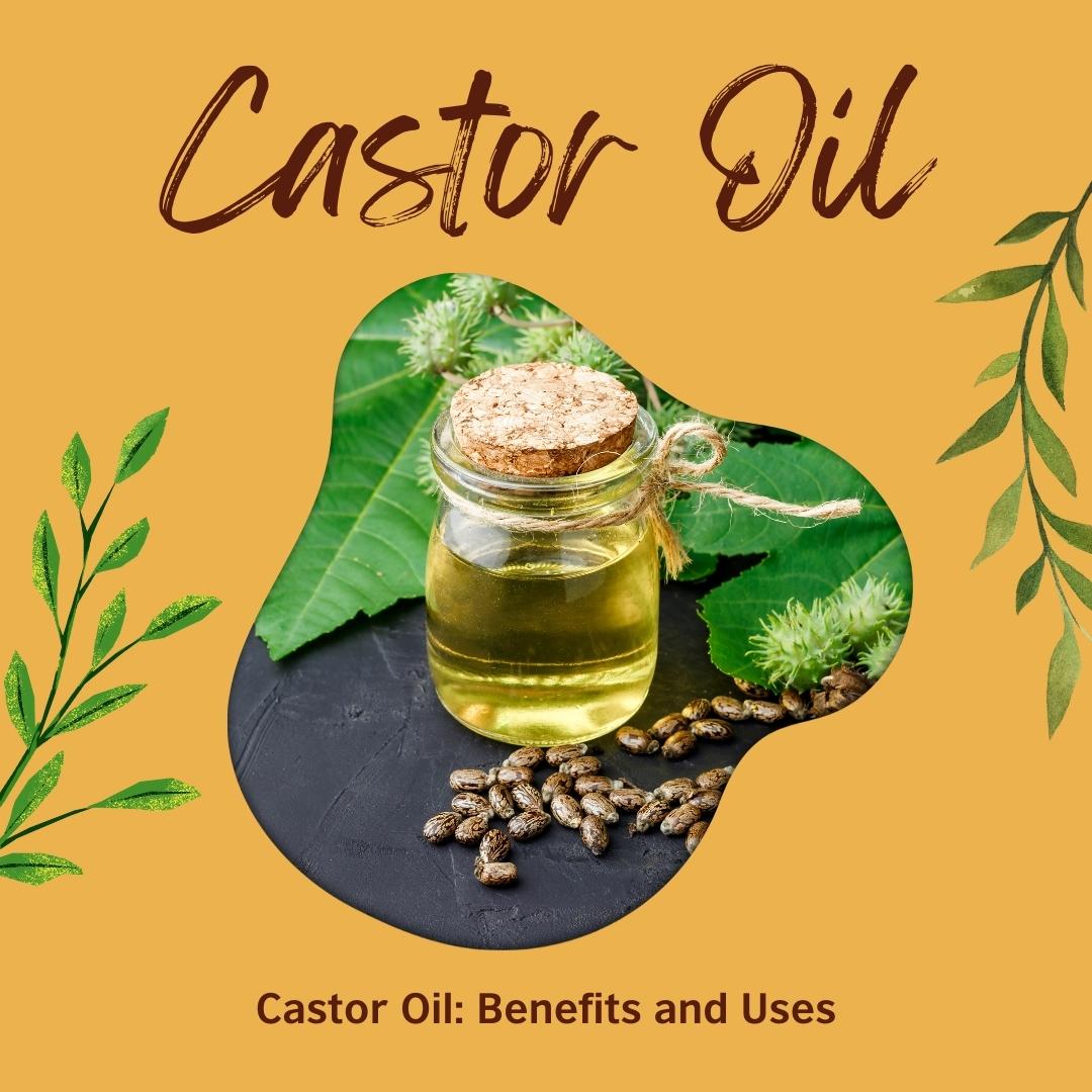 Castor Oil: Benefits and Uses - Cliara Essential Oils