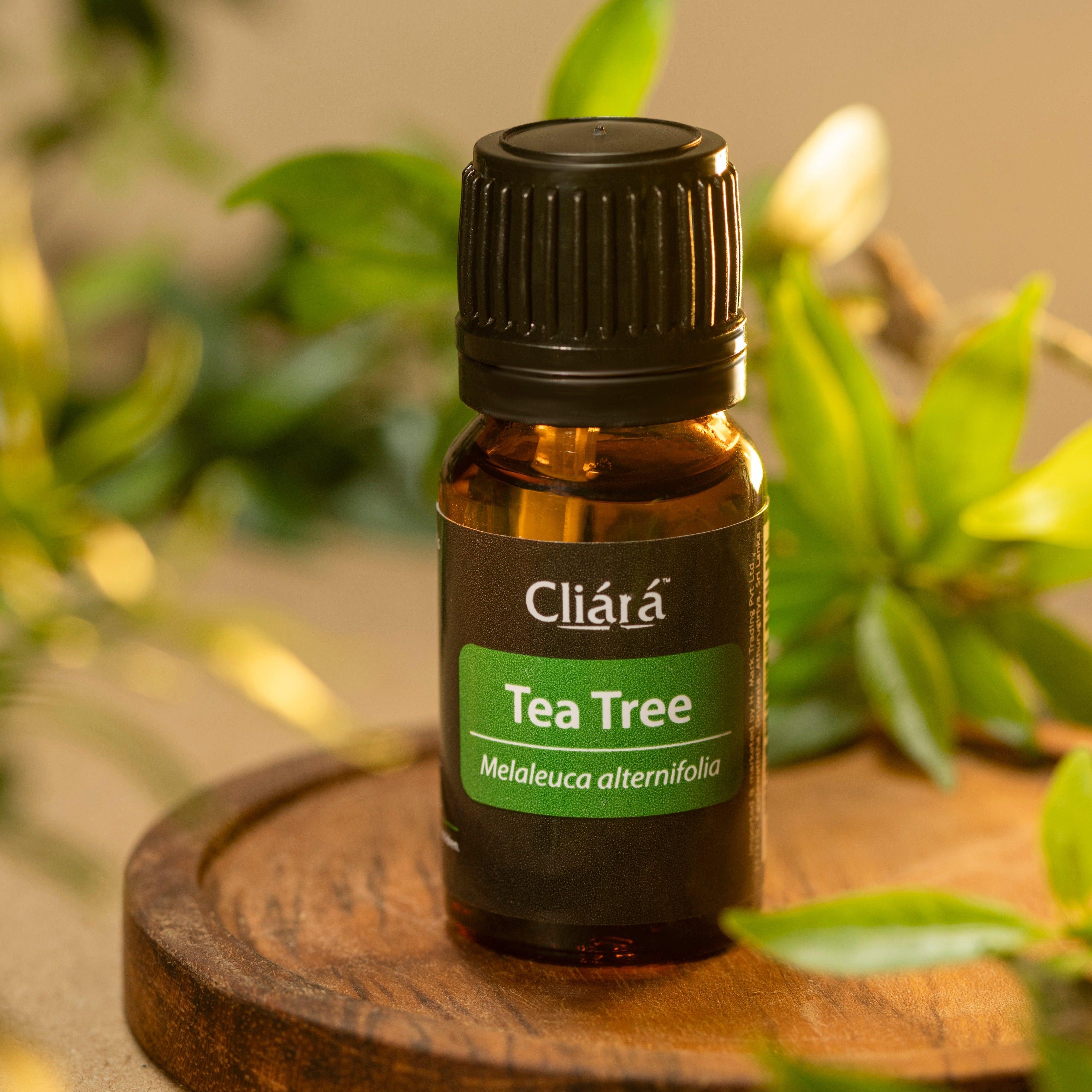 Tea Tree Essential Oil - Cliara Essential Oils
