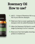 Rosemary Castor Scalp & Hair Strengthening Oil - Cliara Essential Oils