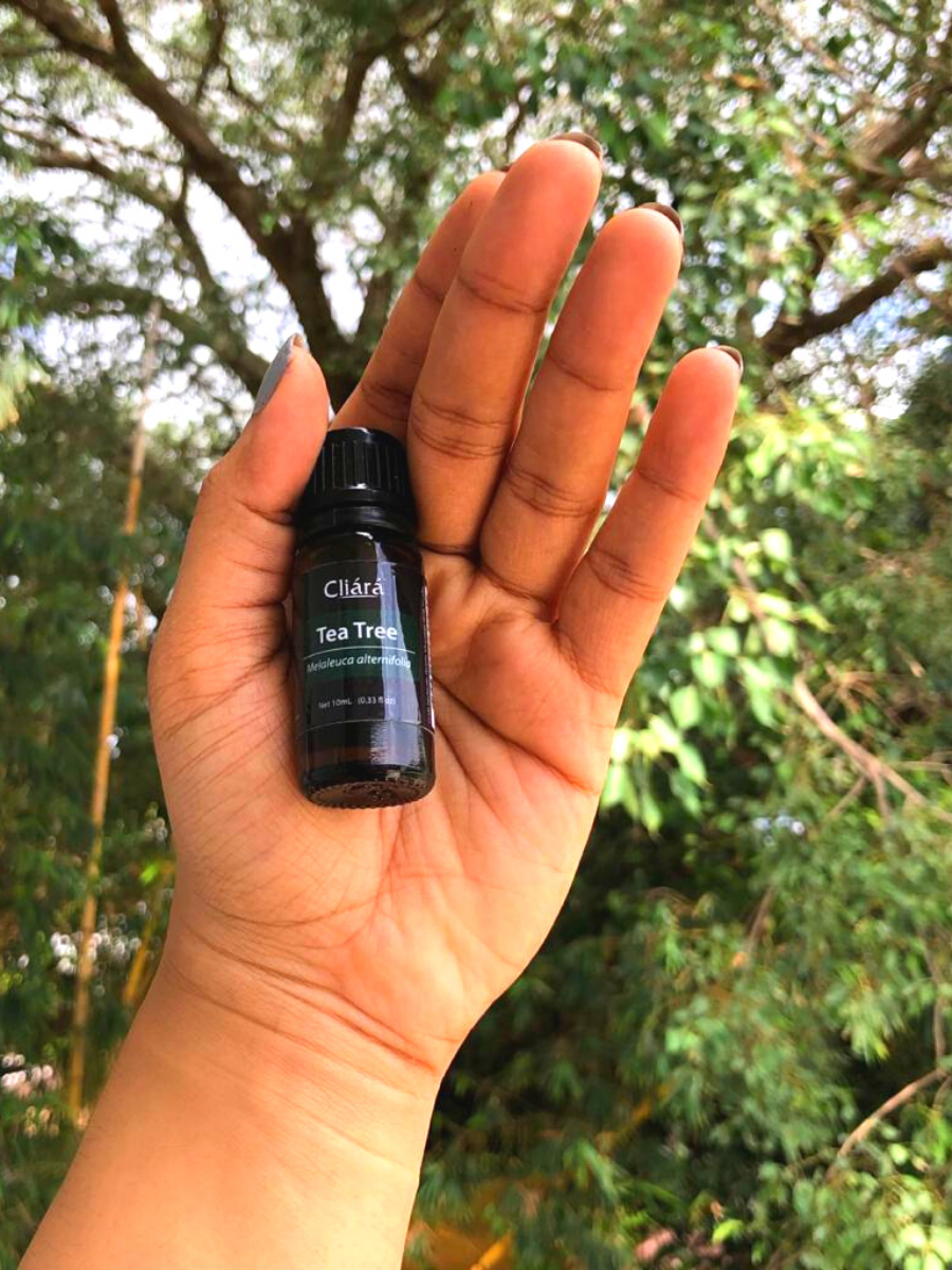 Tea tree oil: Amazing benefits and uses - Cliara Essential Oils